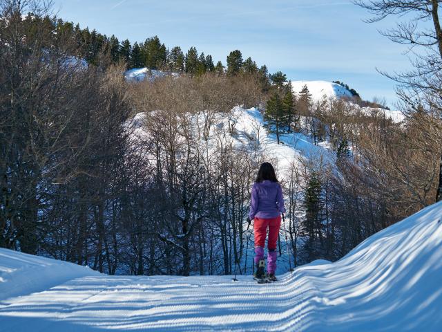 Raquettes à l'espace nordique de La Pierre Saint-Martin (Pyrénées béarnaises)