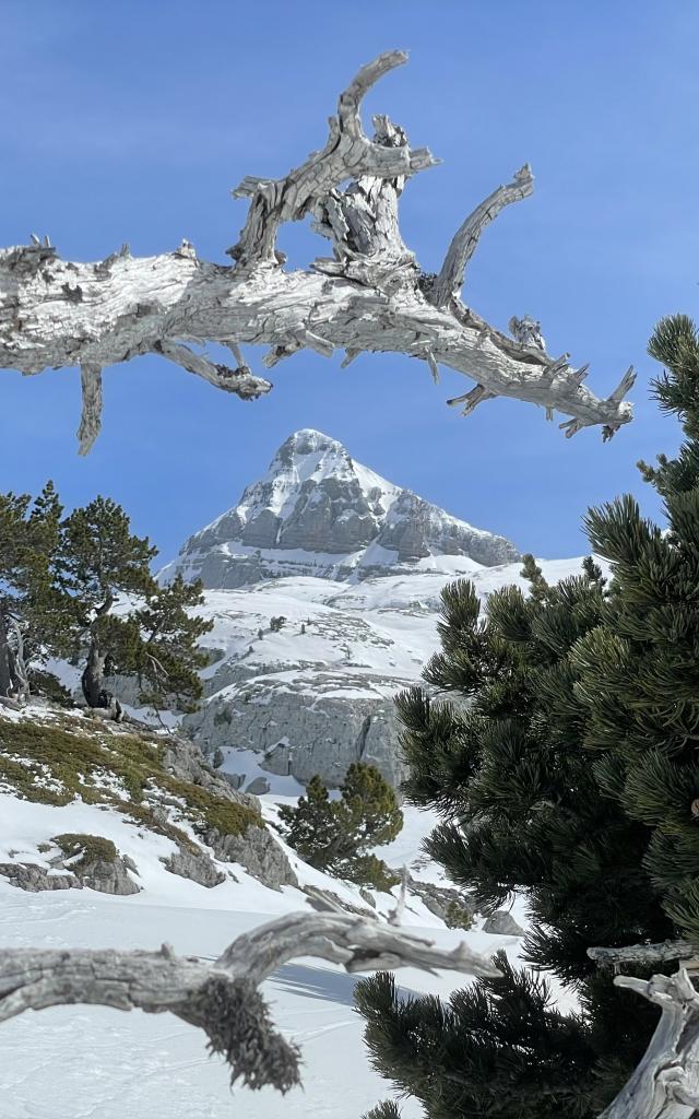 Le pic d'Anie vu depuis le boulevard des Pyrénées