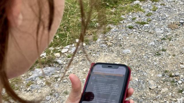 Les jeunes adhèrent au parcours Terrà Aventura à La Pierre Saint-Martin (Pyrénées béarnaises)