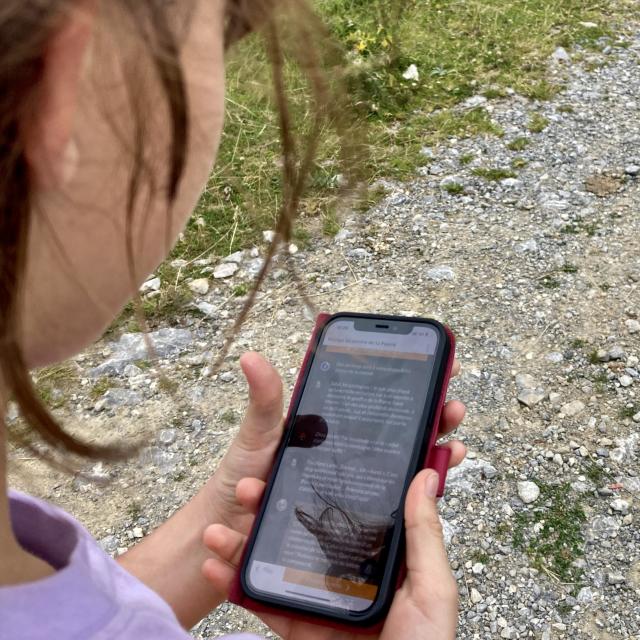 Les jeunes adhèrent au parcours Terrà Aventura à La Pierre Saint-Martin (Pyrénées béarnaises)