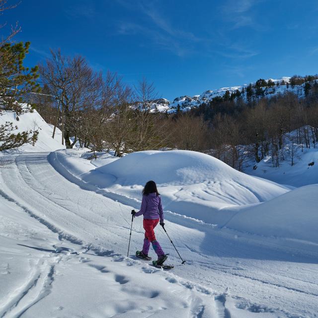 Suivre le plan des pistes pour découvrir les itinéraires à raquettes