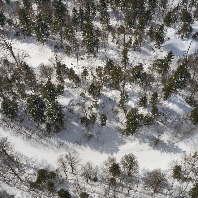 survol des pistes de l'espace nordique à Pierre Saint-Martin