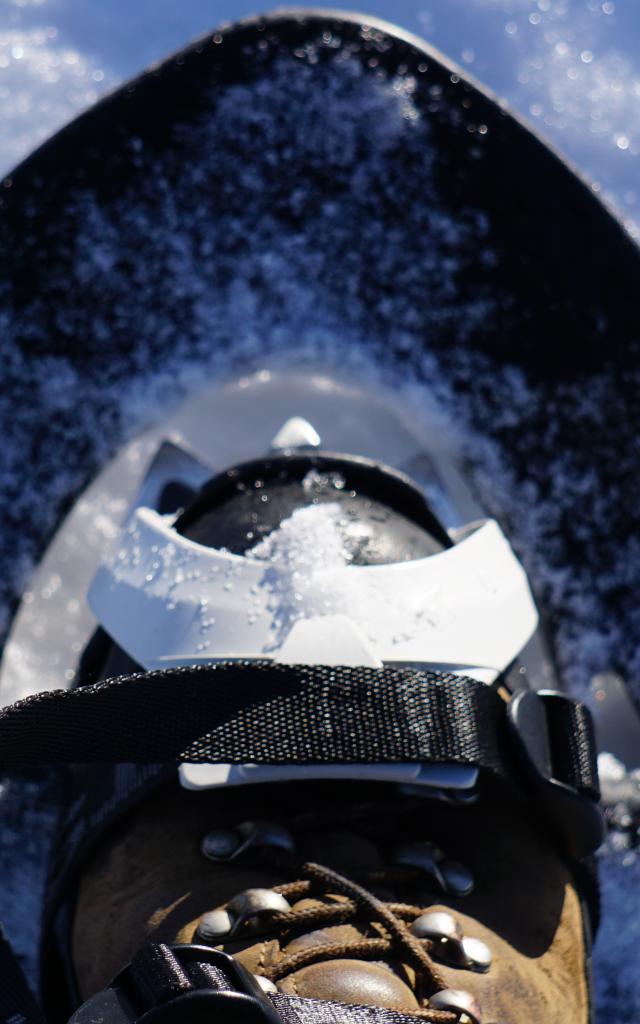 Raquettes à neige sur l'espace nordique de La Pierre Saint-Martin, le long du parcours Tèrra Aventura.