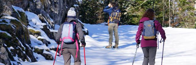 Balade en raquettes à neige dans la forêt du Braca, sur le parcours Tèrra Aventura de La Pierre Saint-Martin