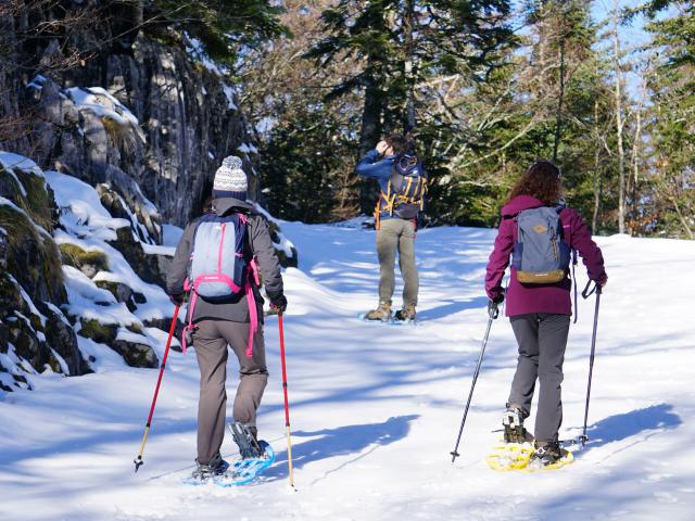 Balade en raquettes à neige dans la forêt du Braca, sur le parcours Tèrra Aventura de La Pierre Saint-Martin