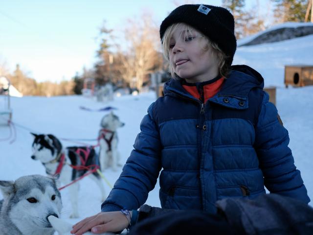 Chiens de traineau sur réservation à l'espace nordique de La Pierre Saint-Martin