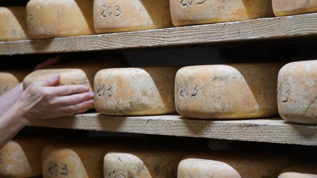 Producteurs passionnés et matières premières de qualité pour des produits du terroir d'exception à acheter dans les commerces et sur les marchés de la station de la Pierre Saint-Martin