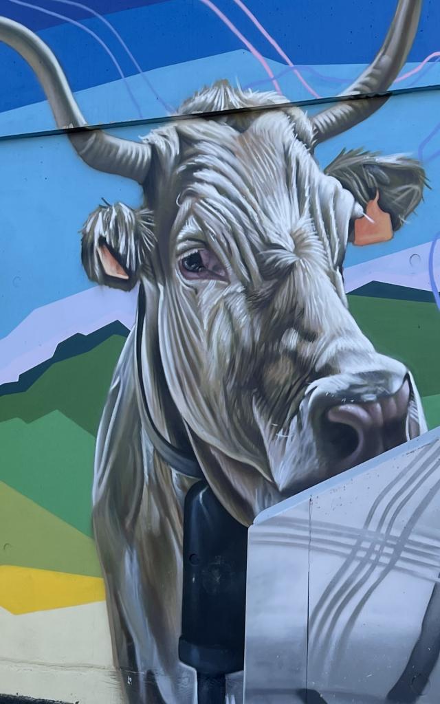 La fresque de l'artiste de street art Matias Mata évoque le pastoralisme et les bergers à La Pierre Saint-Martin