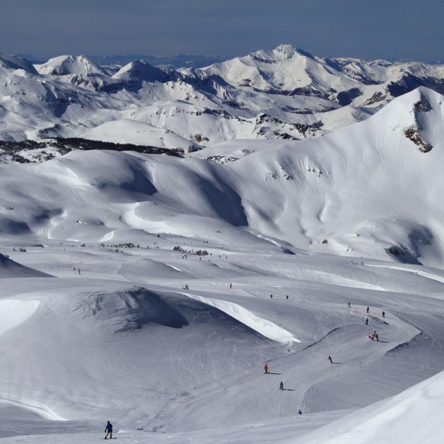 Snowboarder et skieurs partagent le domaine de la Pierre Saint-Martin