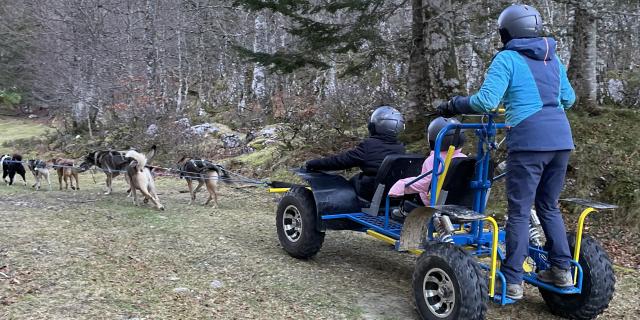 Cani-kart dans la forêt du Braca à La Pierre Saint-Martin