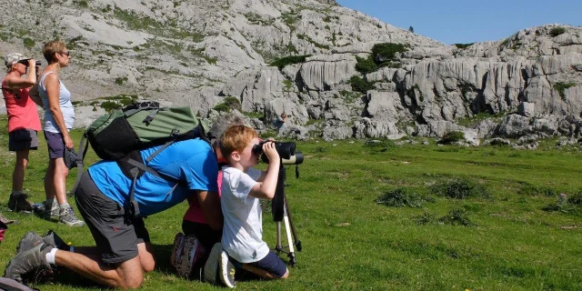 Le temps d'une randonnée accompagnée facile, approchez les marmottes à La Pierre Saint-Martin