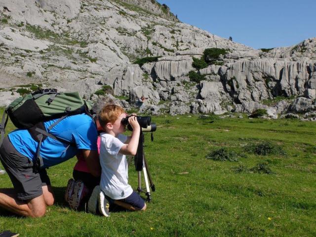 Le temps d'une randonnée accompagnée facile, approchez les marmottes à La Pierre Saint-Martin