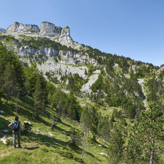 La randonnée des Arres de Camplong offre un étonnant panorama sur les orgues