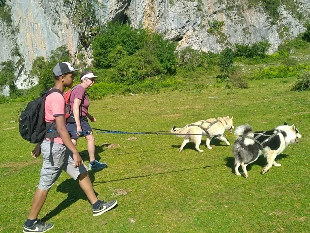 Cani-marche en famille dans la forêt du Braca à La Pierre Saint-Martin