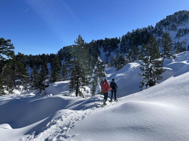 Sortie en raquettes avec un accompagnateur au départ de La Pierre Saint-Martin