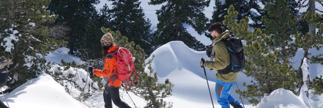 Sortie raquettes en forêt au départ de la station de La Pierre Saint-Martin