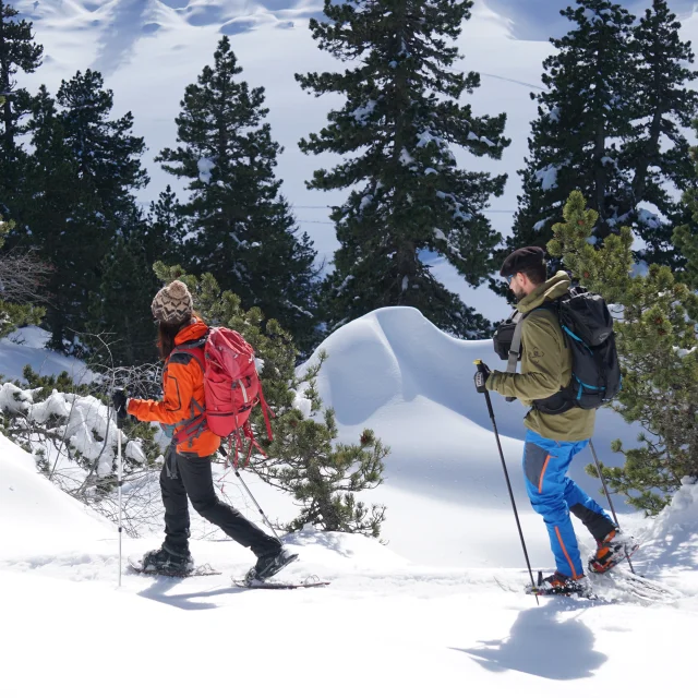 Sortie raquettes en forêt au départ de la station de La Pierre Saint-Martin