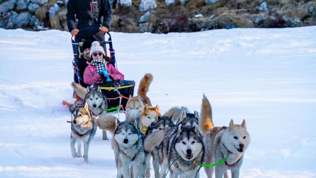 Les enfants découvrent avec joie le baptême en traineau à chiens à l'espace nordique de La Pierre Saint-Martin