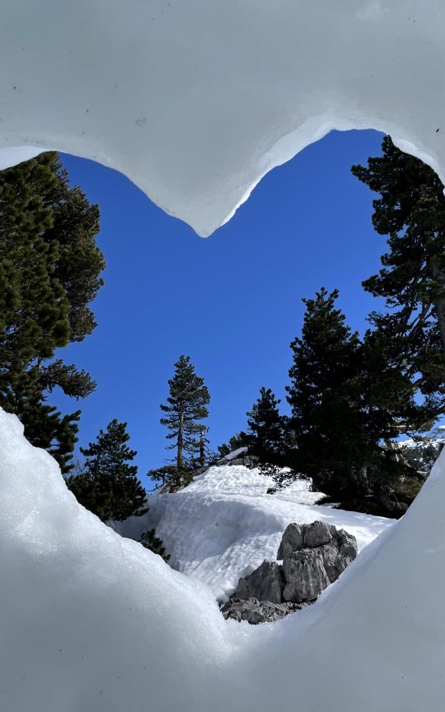 Sculpture sur neige lors de l'animation Trappeurs en famille à La Pierre Saint-Martin