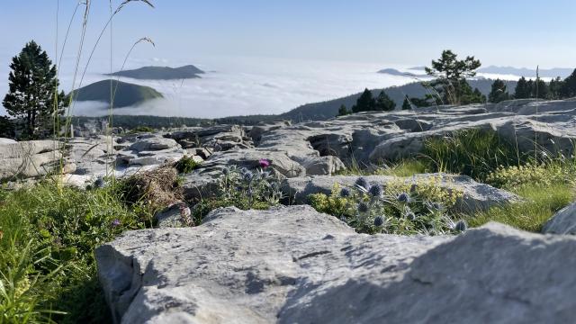 Le lapiaz de La Pierre Saint-Martin est un des plus étendus d'Europe