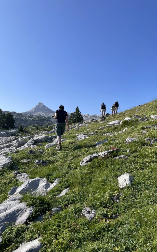 Randonnée pédestre entre lapiaz et estive à La Pierre Saint-Martin