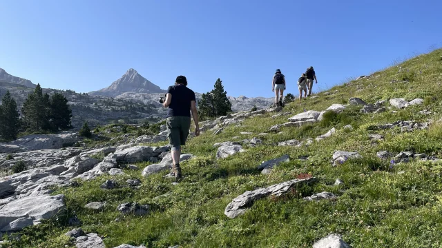 Randonnée pédestre entre lapiaz et estive à La Pierre Saint-Martin