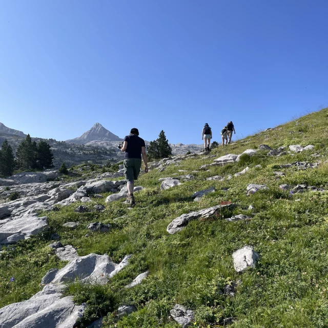 Randonnée pédestre entre lapiaz et estive à La Pierre Saint-Martin