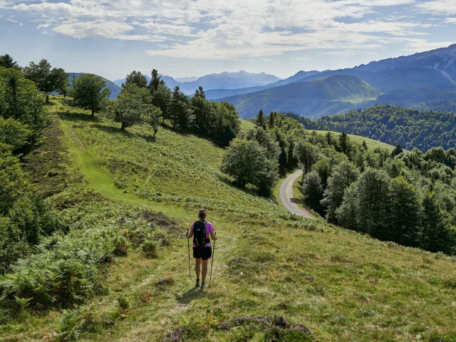 Randonnée facile entre forêt et crêtes à Issarbe, à faire en famille