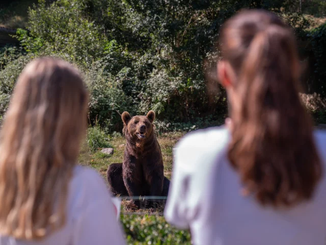 Parc'Ours est un refuge animalier, parcours pédagogique et ludique de 7 hectares dans la nature